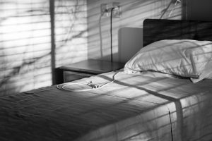 Hospital Bed